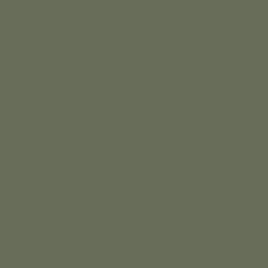 N448 (Бонсай)
