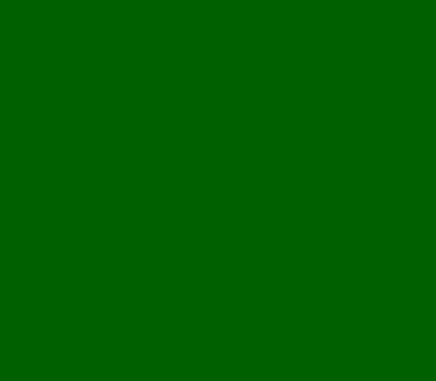 Фото цвета TVT L051