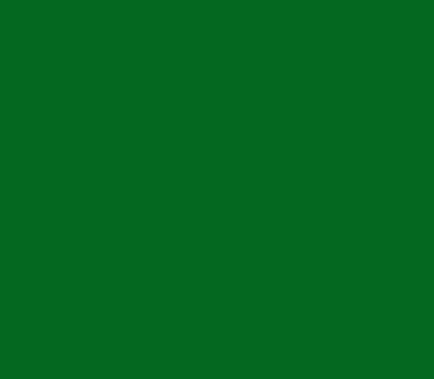 Фото цвета TVT L050