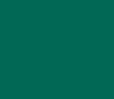 Фото цвета TVT L033