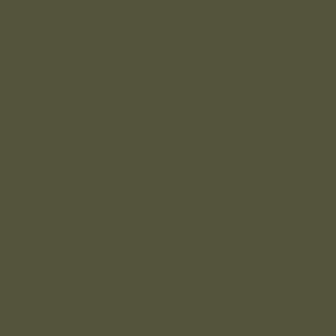 NCS S 6005-Y20R образец цвета 