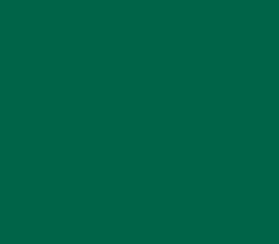 Фото цвета TVT N042